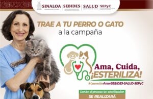 Culiacán tendrá jornada masiva de esterilización de perros y gatos ¡lleva a tu mascota!