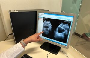 El cáncer de próstata, uno de los más comunes en el hombre; exámenes preventivos son claves