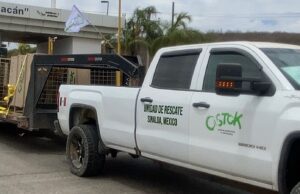 Violencia en Culiacán obliga la mudanza del santuario de fauna silvestre Ostok