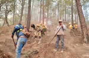 Incendios en Concordia y Badiraguato son atendidos de manera interinstitucional: Navarrete Cuevas