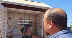 Se espera la formación de entre 16 y 20 ciclones tropicales en el Océano Pacífico, de acuerdo con el responsable de la Estación Climatológica de la UAS