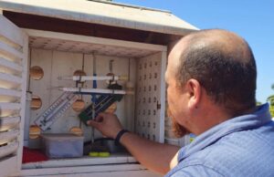 Se espera la formación de entre 16 y 20 ciclones tropicales en el Océano Pacífico, de acuerdo con el responsable de la Estación Climatológica de la UAS