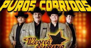 Apología o verdad: el narco