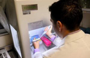 Investigador de la UAS alerta sobre uso desmedido de medicamento para la diabetes para fines estéticos