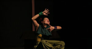 Aplauden la historia de “Nina y el misterio de la tortuga”