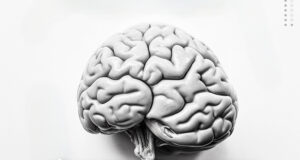 Día Mundial del Cerebro