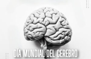 Día Mundial del Cerebro