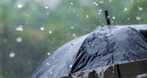 Sin registrar lluvias intensas, en Sinaloa la temporada inicia con 41.5 milímetros de precipitaciones, explica meteorólogo de la UAS