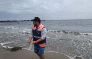 ¡Playas de Sinaloa limpias! Son aptas para uso recreativo este verano