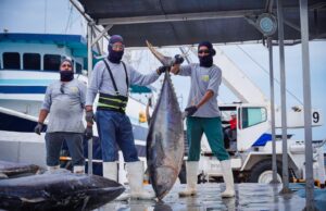 Sinaloa encabeza el crecimiento económico nacional en el primer trimestre de 2025