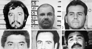 Degeneración generacional