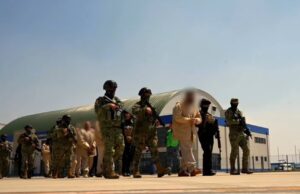 Inteligencia y valores