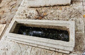 Panteones, unos de los mayores focos de dengue en Sinaloa; necesario trabajar en ellos: investigadores UAS