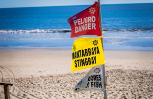 ¿Vas a visitar las playas de Mazatlán? Conoce las recomendaciones que brinda el Escuadrón Acuático