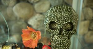 Padres e hijos alucines