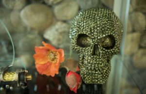 Padres e hijos alucines