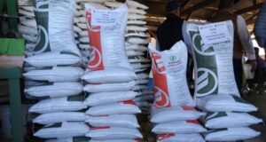 Amplía SADER convocatoria del programa de Fertilizantes para el bienestar en Sinaloa hasta el 05 de agosto