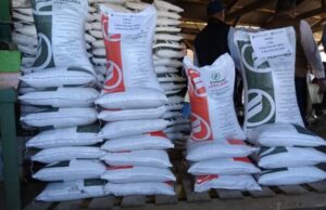 Amplía SADER convocatoria del programa de Fertilizantes para el bienestar en Sinaloa hasta el 05 de agosto