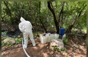 Aseguramientos y detenciones son resultado de coordinación de los tres órdenes de gobierno: SSPE