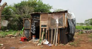 Menos pobreza: otra verdad que duele