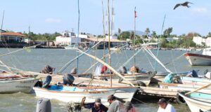 Definen fechas de apertura de la temporada de pesca de camarón en el Pacífico Mexicano