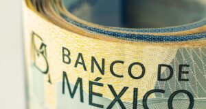 Principio y fin de los problemas institucionales