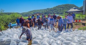 Con el respaldo del gobernador, Rubén Rocha Moya, El Varejonal recibe 2 millones de alevines de tilapia