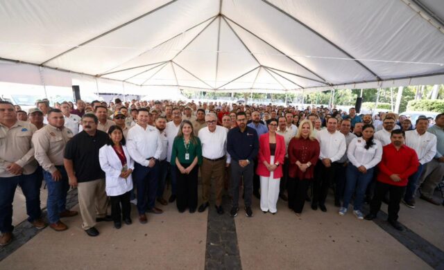 WhatsApp Image 2025-10-28 at 15.12.50