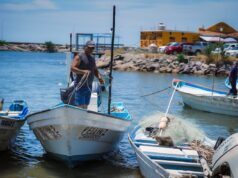 Sinaloa, entre las cinco entidades con mayor crecimiento económico en México en el primer semestre de 2025