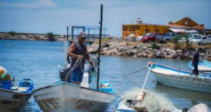 Sinaloa, entre las cinco entidades con mayor crecimiento económico en México en el primer semestre de 2025