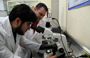 Investigadores de la UAS desarrollan proyecto para conservar el tomate después de la cosecha