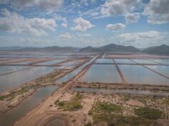 En el Gobierno de Rubén Rocha Moya, Sinaloa consolida su liderazgo nacional en sanidad acuícola y pesquera