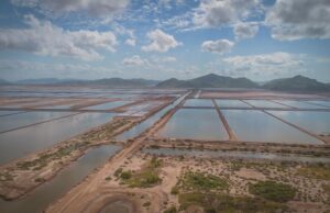 En el Gobierno de Rubén Rocha Moya, Sinaloa consolida su liderazgo nacional en sanidad acuícola y pesquera
