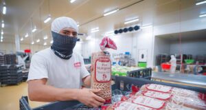 Sinaloa incrementa su población ocupada en el tercer trimestre de 2025: INEGI