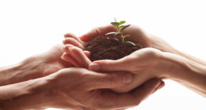 Un entorno bondadoso