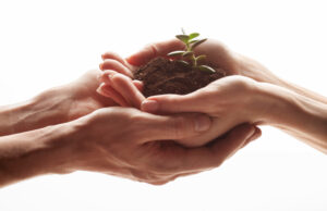 Un entorno bondadoso