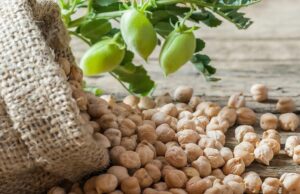 Se fortalecen siembras de temporal en Sinaloa, con apoyo del Gobierno del Estado: Ismael Bello Esquivel