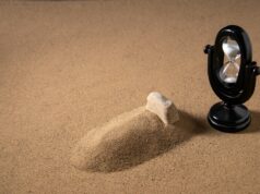 La caducidad de la vida