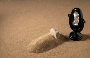 La caducidad de la vida