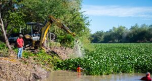 Ayuntamiento realiza acciones de limpieza y retiro de lirio acuático en el Río Humaya