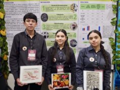 Estudiantes de ‘El Rosario’ sobresalen en competencias académicas