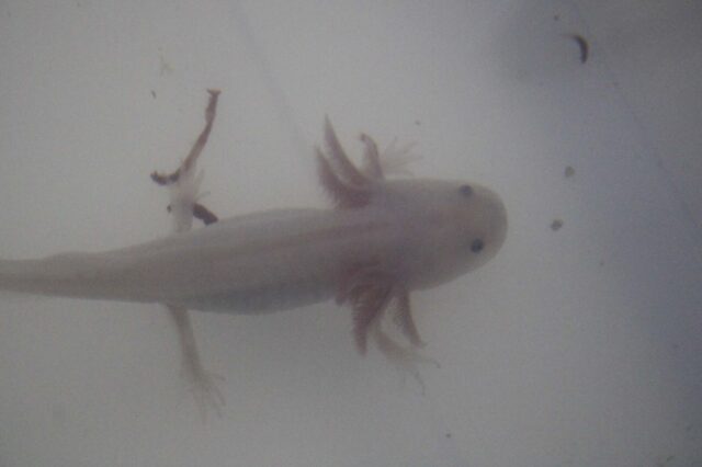 WhatsApp Image 2025-12-29 at 05.46.32 (1)