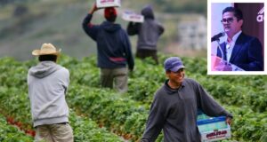Campos agrícolas listos para recibir a familias jornaleras en el valle