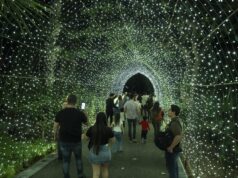 Este domingo 11, la ópera navideña “Amahl y los visitantes nocturnos”