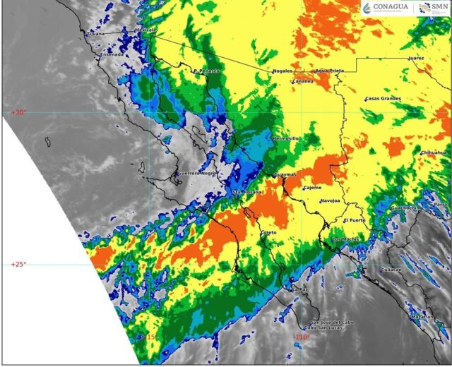 WhatsApp Image 2026-01-07 at 15.31.45 (2)