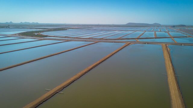 WhatsApp Image 2026-01-08 at 15.57.02