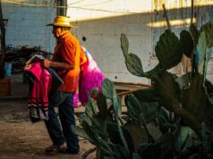 Brinda Gobierno de Sinaloa atención invernal a familias de jornaleros agrícolas en Ruiz Cortines
