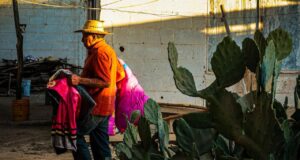 Brinda Gobierno de Sinaloa atención invernal a familias de jornaleros agrícolas en Ruiz Cortines