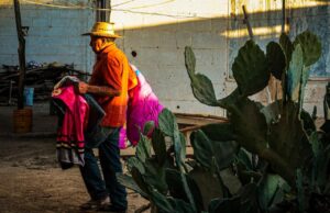 Brinda Gobierno de Sinaloa atención invernal a familias de jornaleros agrícolas en Ruiz Cortines