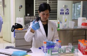 Convocan al Doctorado en Ciencias en Biotecnología 2026